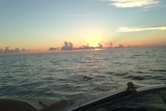 Sunsets
